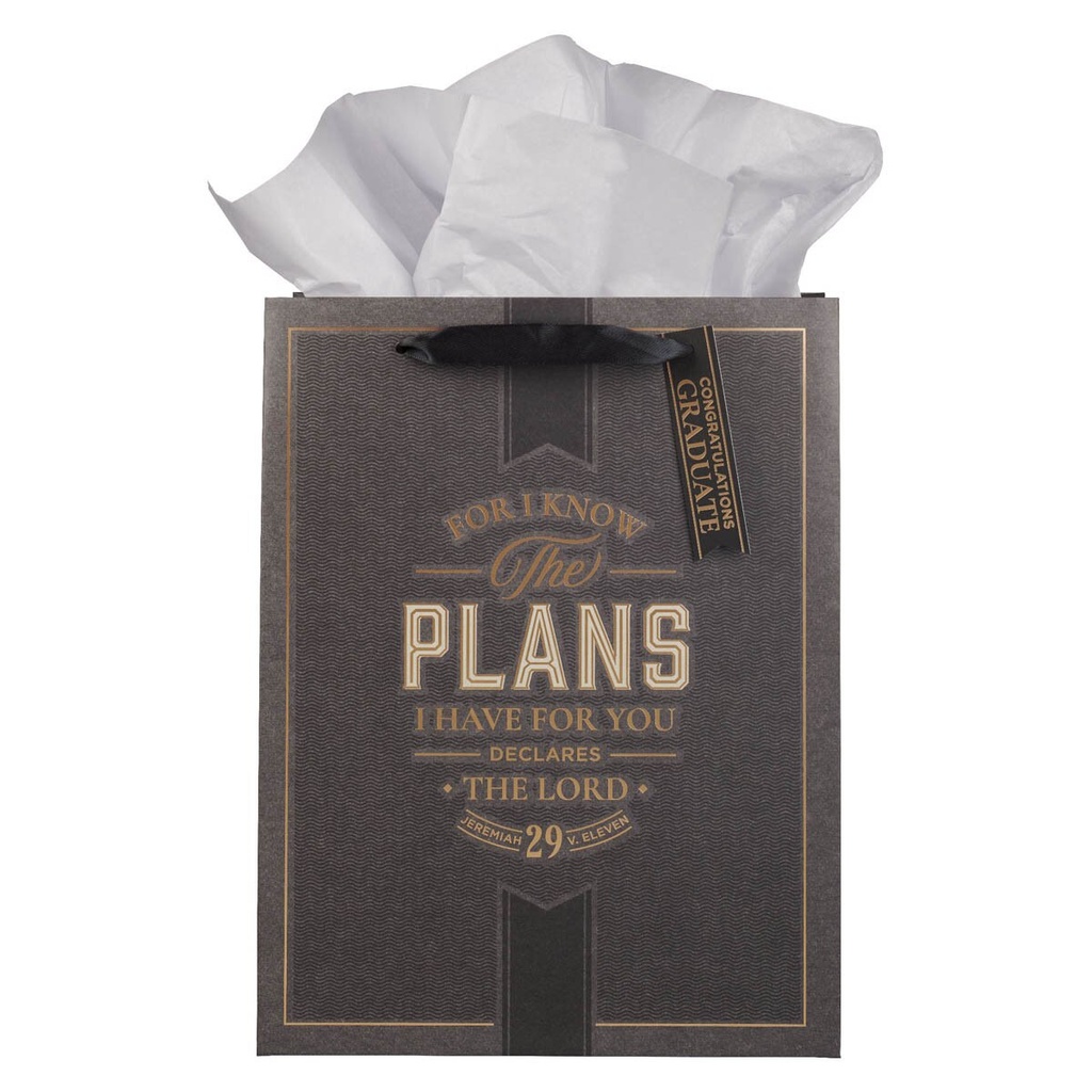 Gift Bag Large I Know The Plans Charcoal 