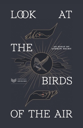 Look at the Birds of the Air