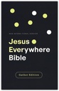 NIV Jesus Everywhere Outreach Bible Larger Print Paperback