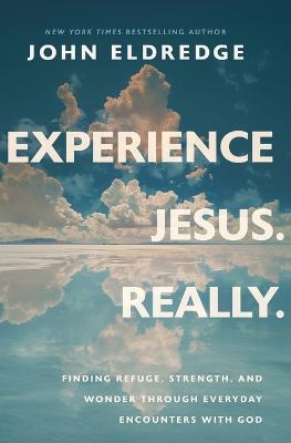 Experience Jesus. Really: Finding Refuge, Strength, and Wonder through Everyday Encounters with God ITPE