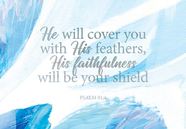 PIO He Will Cover You With His Feathers 25Pc