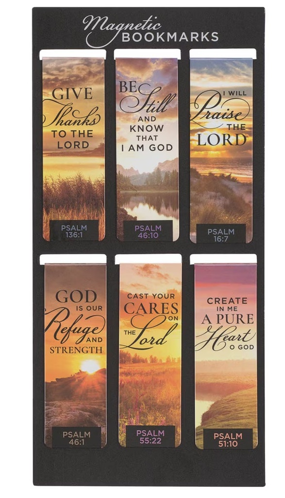 Pagemarker Magnetic Set Radiant Promises