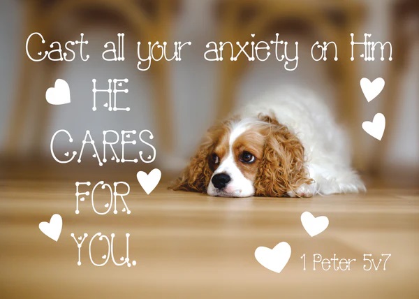 Post Lg: He Cares For You