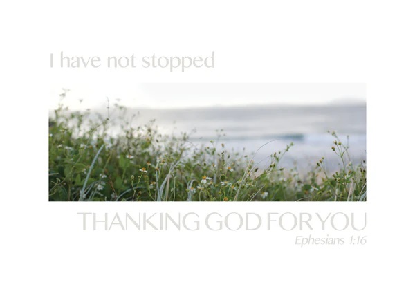 Post Lg: I Have Not Stopped Thanking God For You