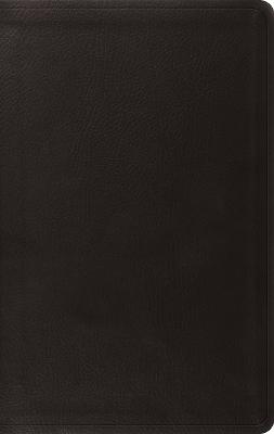 ESV Value Thinline Bible TruTone, Black
