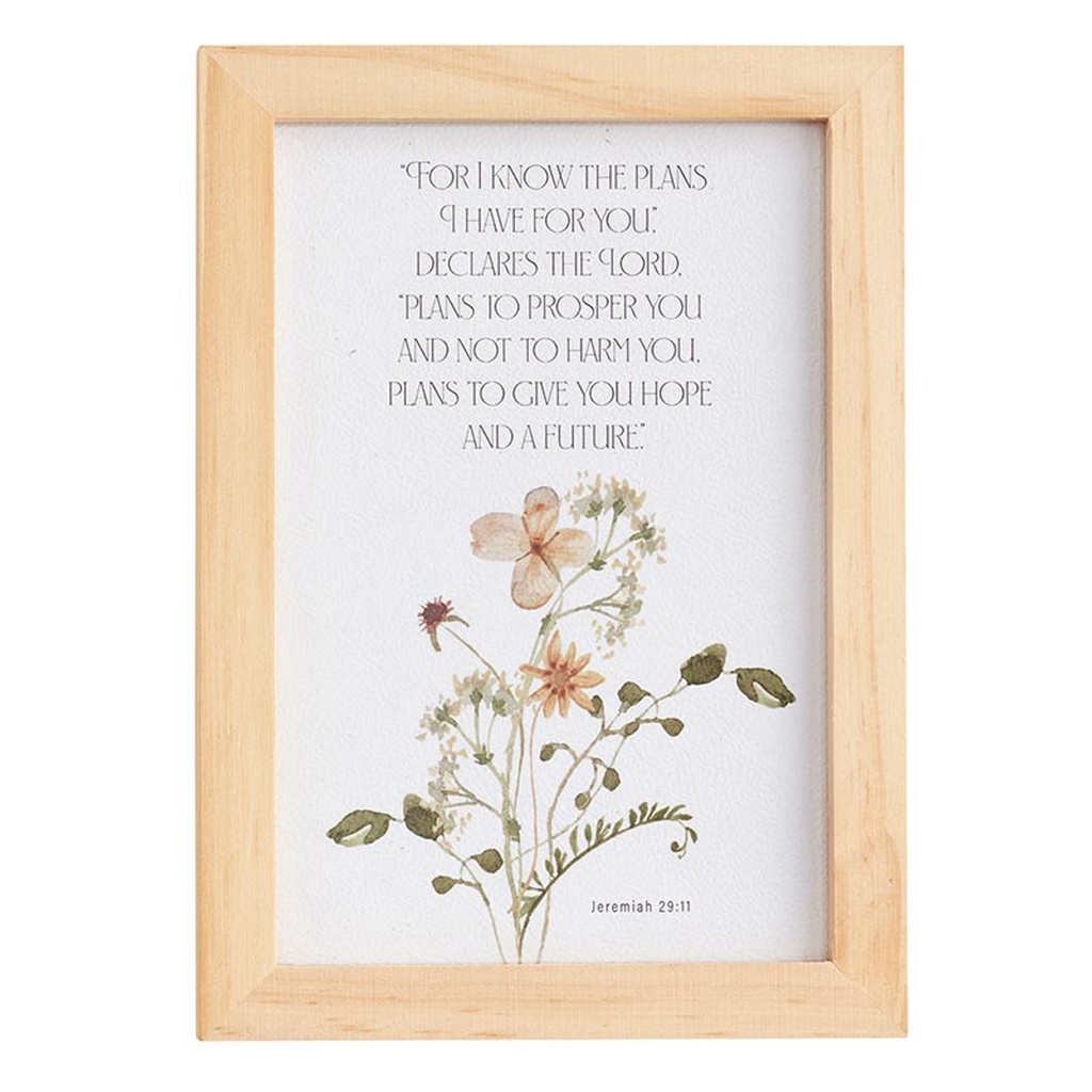 Framed Art For I Know The Plans Wood 