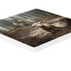 Coaster I Am Found Lamb (05/25)