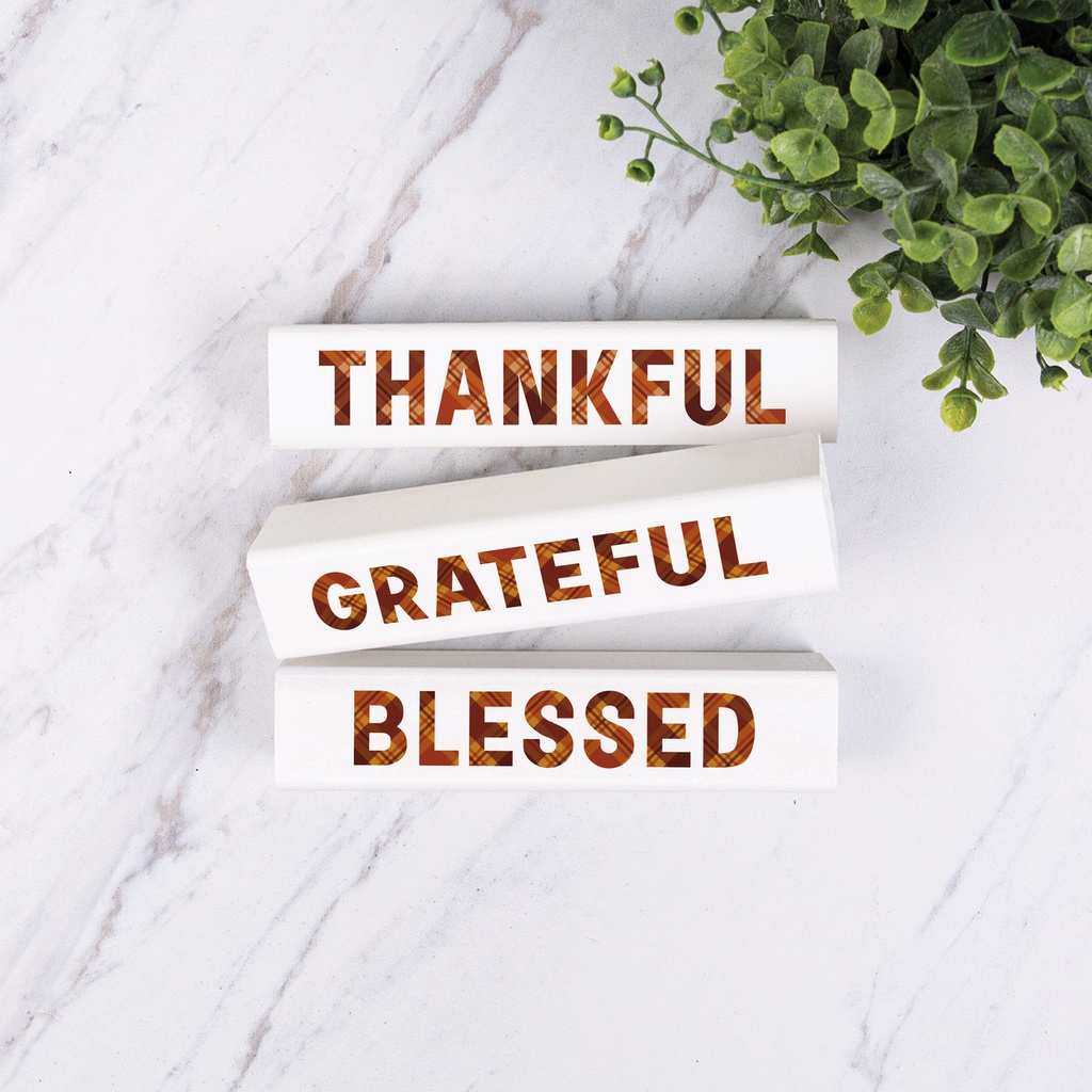 Stick Sign Thankful Grateful Blessed 3Pc 