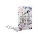 Power Bank Lord Will Guide You (05/25)