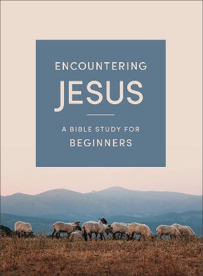 Encountering Jesus: A Bible Study for Beginners 