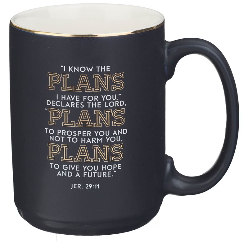 Mug The Plans Modern Blue Grid 