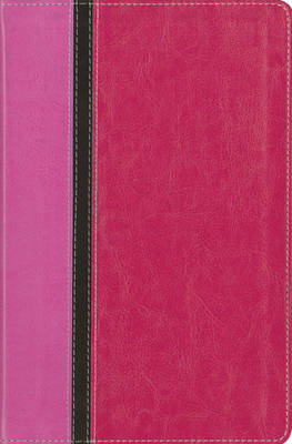 [9780310422983] NIV/Message Remix Parallel Personal Orchid/Raspberry