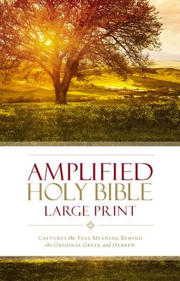 [9780310444039] Amplified Bible Large Print Hardcover