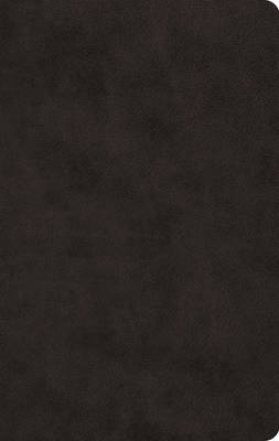 [9781433555978] ESV Large Print Value Thinline TruTone Black