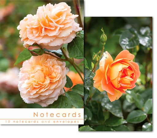 [W144BLT] Notecards: Rose Blooms