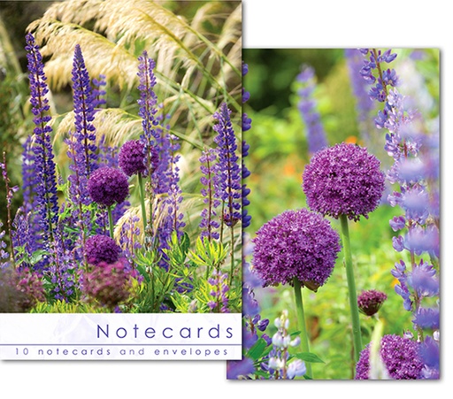 [W143BLT] Notecards: Alium Heads