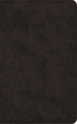 [9781433548208] ESV Bible Pocket NT W/Ps & Prov Trutone Black