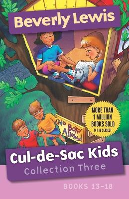 [9780764230509] Cul-De-Sac Kids Collection 3 (Books 13-18)