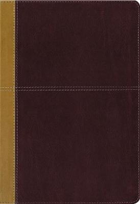 [9780310446705] KJV Amplified Parallel Bible Large Print Tan/Red I/L
