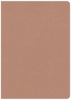 [9781535971003] CSB She Reads Truth Bible Indexed Rose Gold I/L