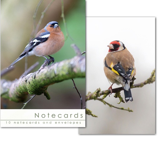 [W149BLT] Notecards: Chaffinch and Goldfinch