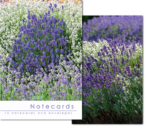 [W158BLT] Notecards: Lavendar Varities