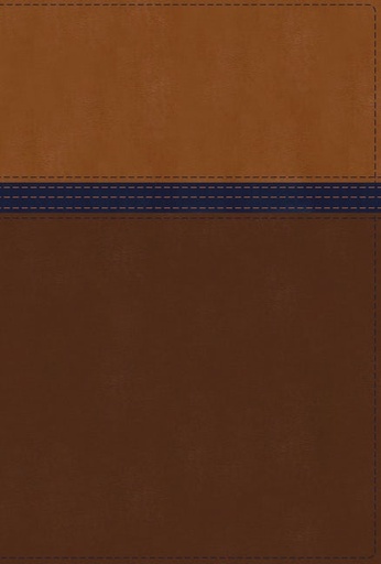 [9780310449133] NIV Study Bible Fully Rev Ed Pers Size Brn/Blu Indexed