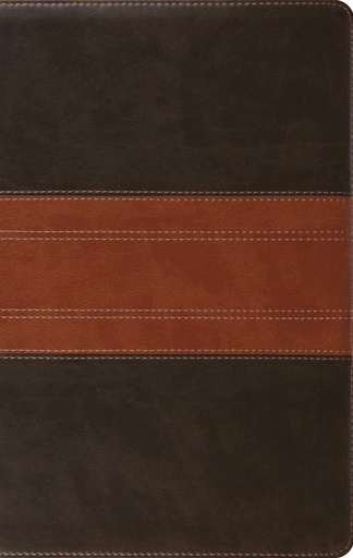 [9781433568770] ESV Large Print Personal Size Bible Forest/Tan I/L
