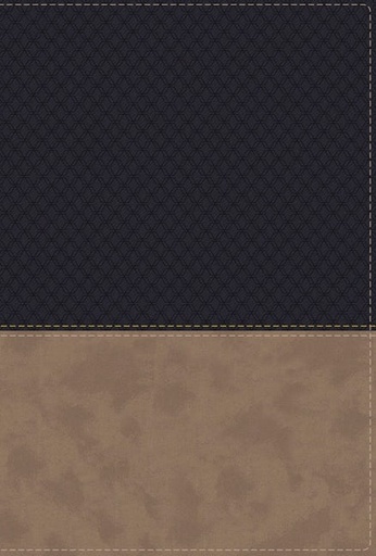 [9780310449027] NIV Study Bible Fully Revised Edition Navy/Tan Indexed