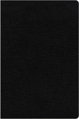 [9780310090335] NIV Study Bible Fully Rev Ed Large Print Black I/L