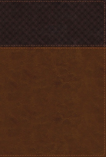 [9780310449195] NIV Study Bible Fully Rev Ed Large Print Brown Indexed