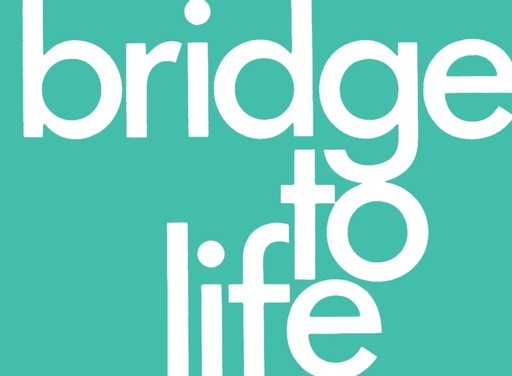 [9781641583251] Bridge To Life Tract Green (Single) (SP25)
