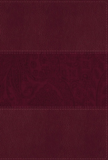 [9780310449225] NIV Study Bible Fully Rev Ed Large Print Burg Indexed