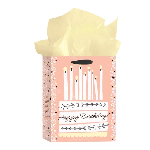 [J4254] Gift Bag Medium Happy Birthday Pink Cake