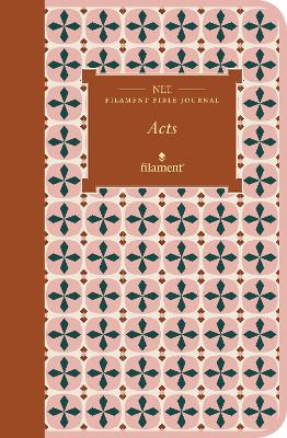 [9781496458667] NLT Filament Bible Journal: Acts