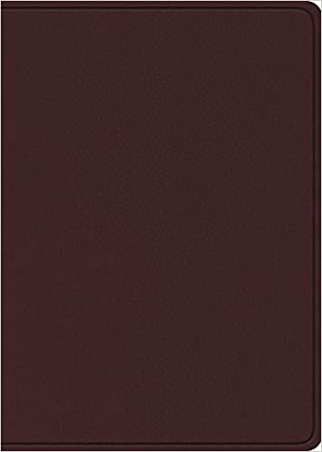 [9781433575938] ESV Study Bible Large Print Burgundy I/L