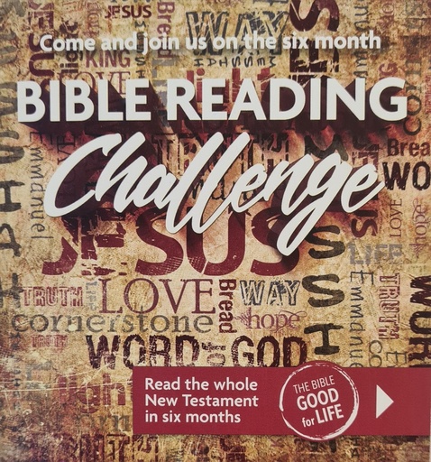 [REANZ1001AB] Bible Reading Challenge Teen NT  (Single)