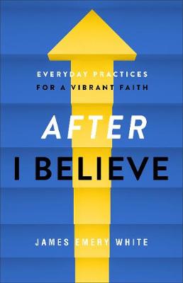 [9780801094606] After I Believe: Everyday Practices For a Vibrant Fai