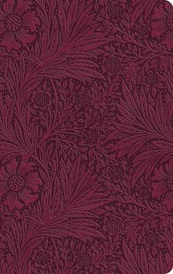[9781433582509] ESV Value Thinline Bible Large Print Raspberry Floral