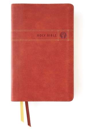 [9780310460824] NIV Men's Devotional Bible Brown I/L