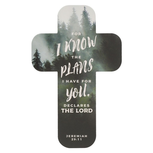 [BMC168SINGLE] BMK Cross I Know The Plans Pine Forest Single