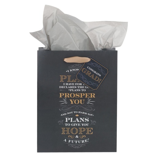 [GBA381] Gift Bag Medium I Know The Plans Grey