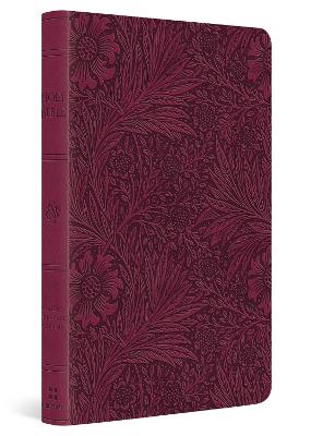 [9781433589621] ESV Value Thinline Bible Raspberry Floral Design I/L