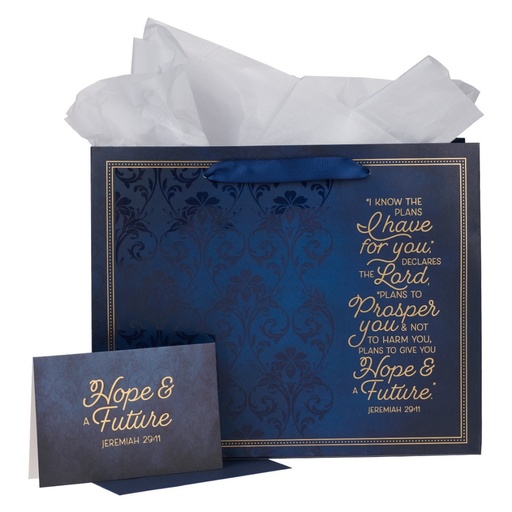 [GBA338] Gift Bag Large Landscape I Know The Plans Blue w/Card