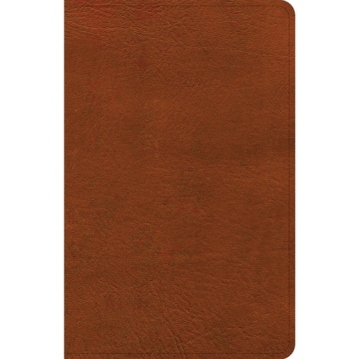 [9781430094807] NASB (2020) Personal Size Bible Burnt Sienna I/L