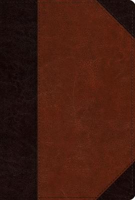 [9781433593161] ESV Men's Study Bible Portfolio Design Brown I/L