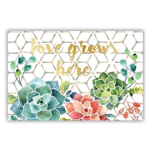 [L1380] PIO Love Grows Here