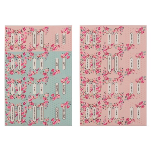 [ITAB024] Bible Indexing Tab Pink & Blue Old & New Test