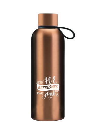[GEWB5476-OM] Thermos Bottle He Refreshes My Soul Bronze SS