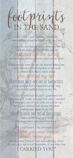 [8808] Plaque Footprints Wood Boards